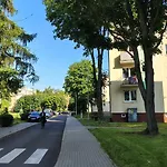 U Kocurka - Przy Termach Cieplickich * Jelenia Góra
