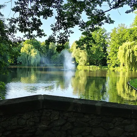 U Kocurka - Przy Termach Cieplickich *