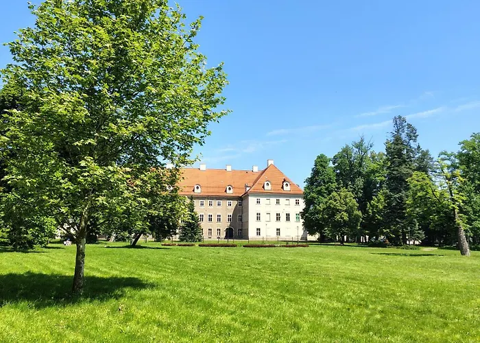 U Kocurka - Przy Termach Cieplickich Jelenia Góra